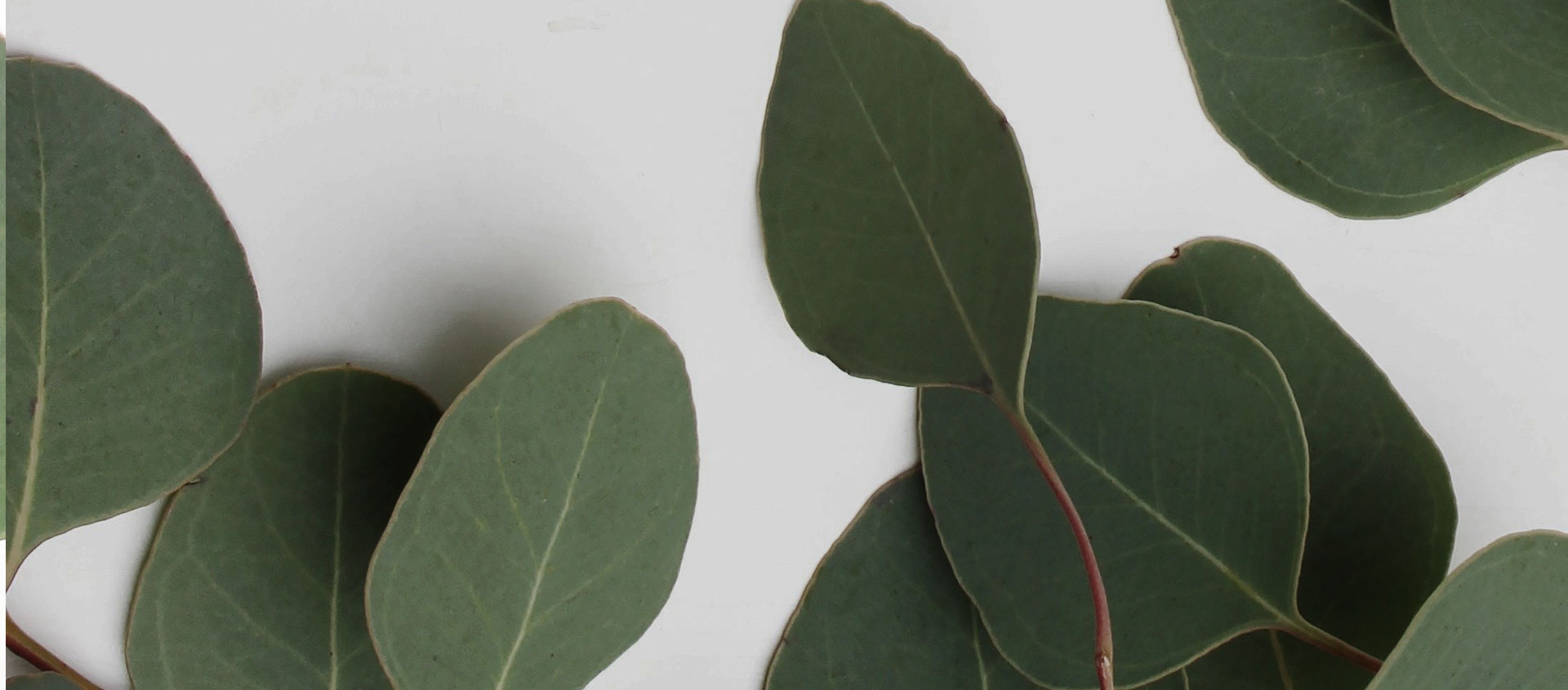 Взыскание ущерба от экологических правонарушений в Арсеньеве